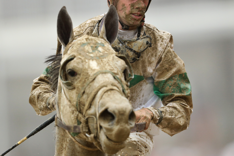 Illustration for article titled The Preakness Was A Foggy, Muddy, Wonderful Mess